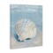Stupell Industries Coastal Scallop Clam Canvas Wall Art Design by Arlington Prints